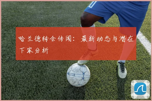 哈兰德转会传闻：最新动态与潜在下家分析